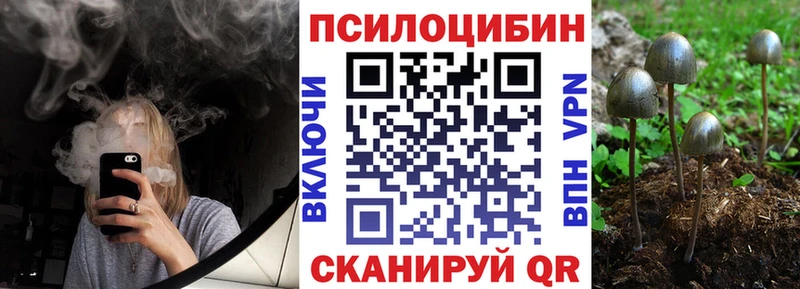Галлюциногенные грибы Magic Shrooms  где найти   Гаджиево 